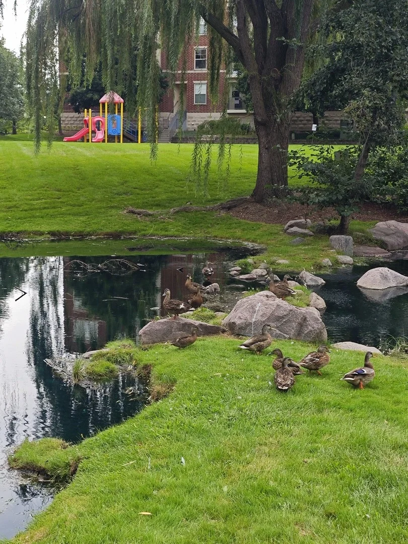 Photo of 723 Prestwick Lane