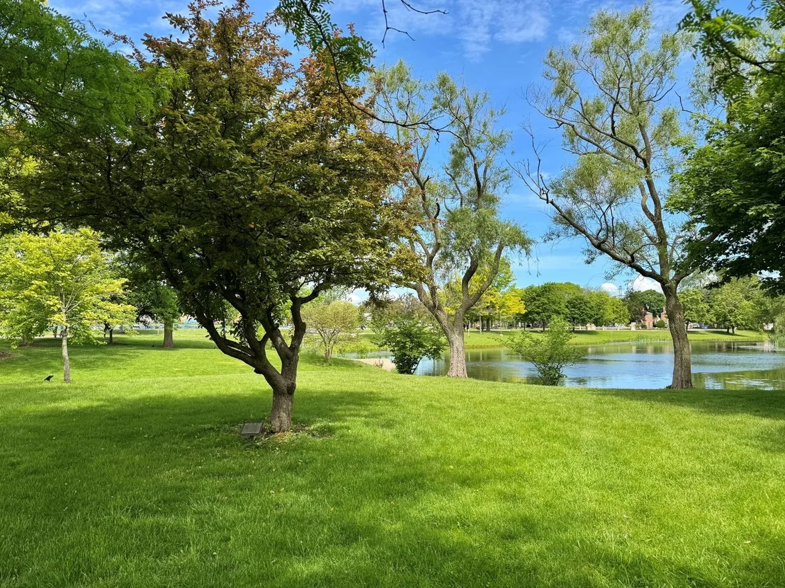 Photo of 960 Alfini Drive