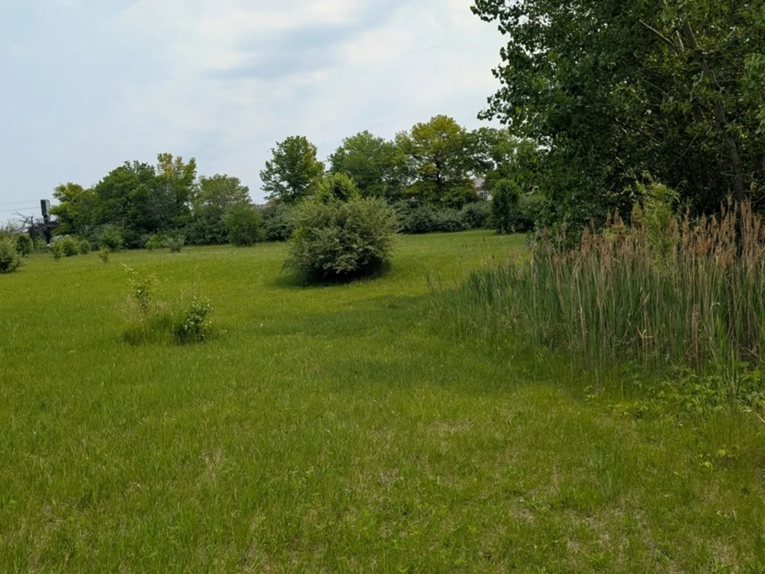 Photo of 0 Gore Road