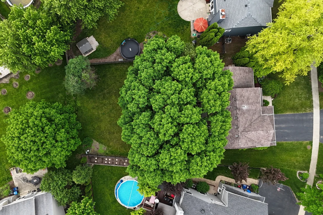 Photo of 1211 Laurel Lane