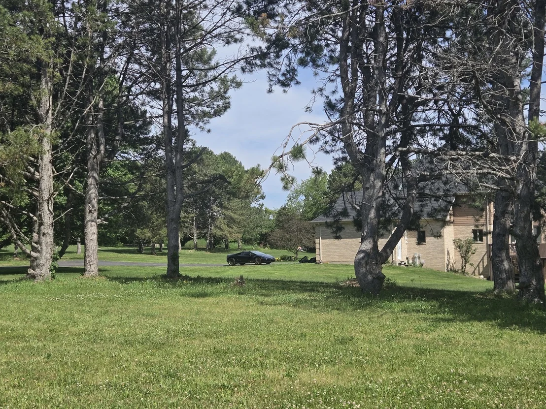 Photo of 17823 Haas Road