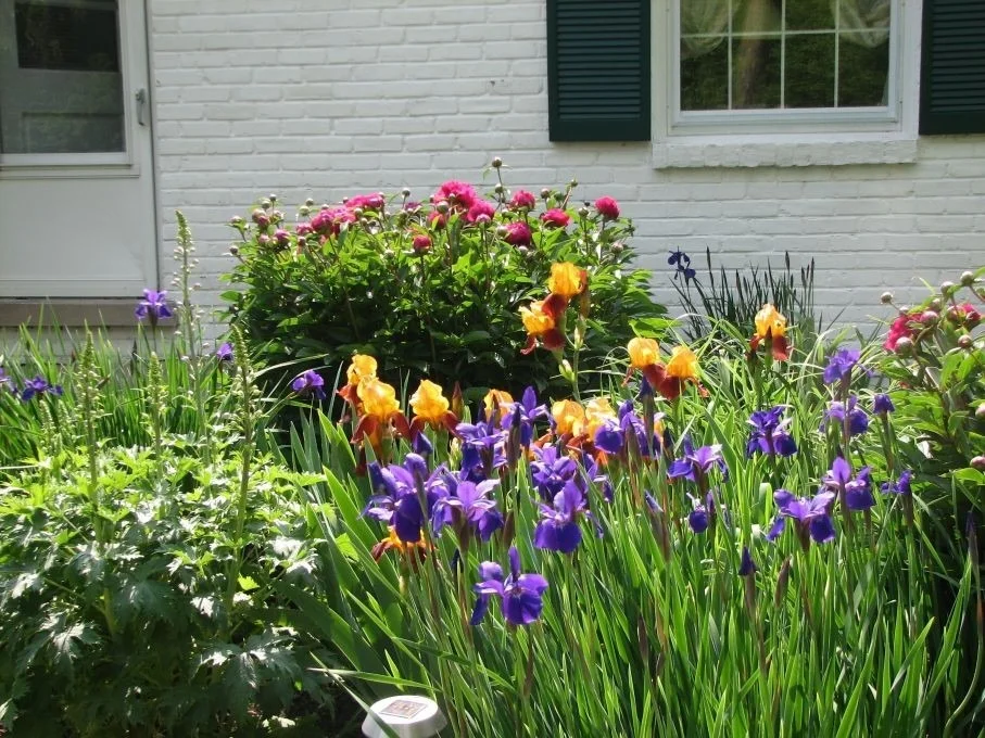 Photo of 37 Forest Hills Road