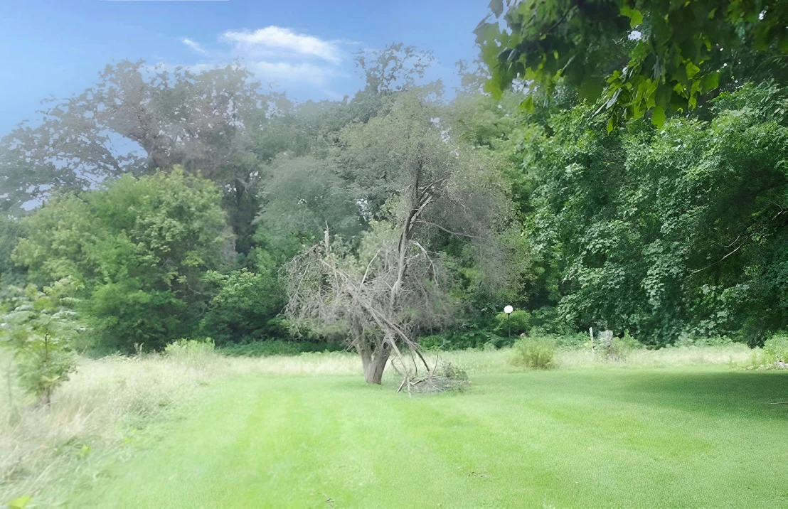 Photo of 6272 Old Dam Road
