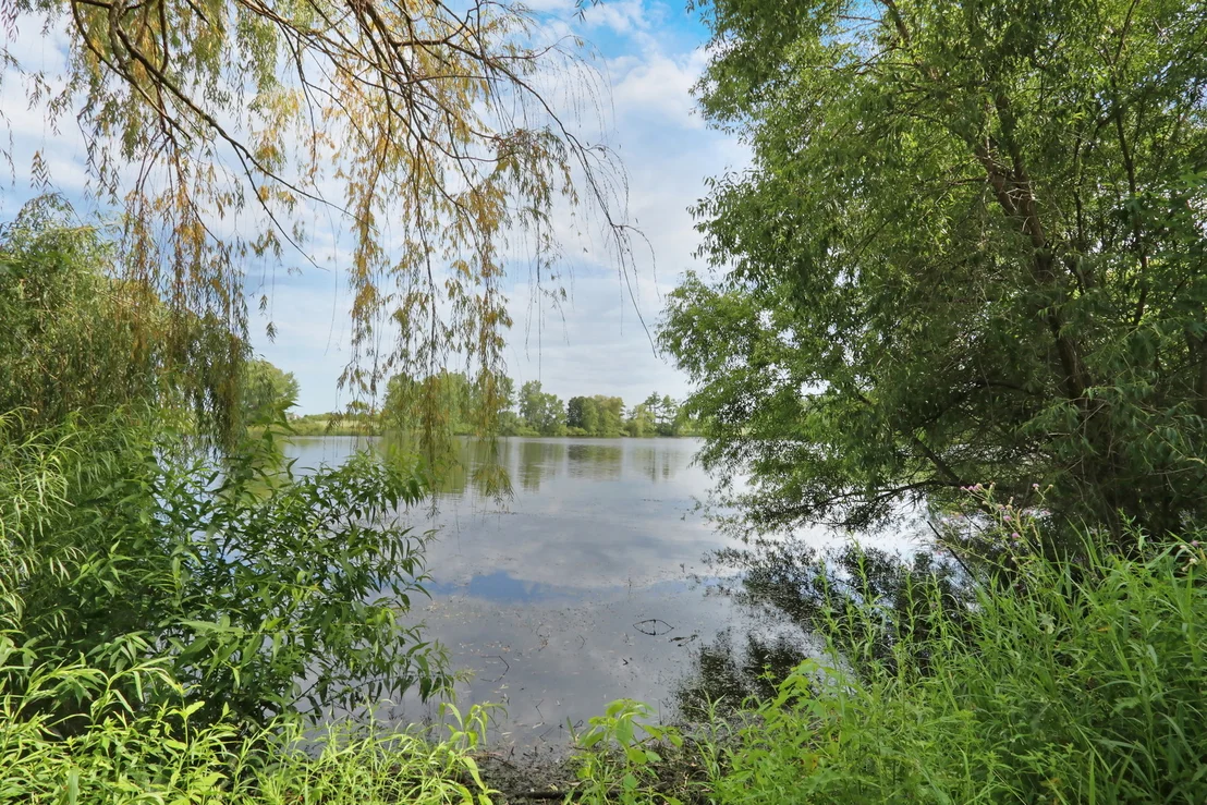 Photo of 1015 Timber Lake Drive