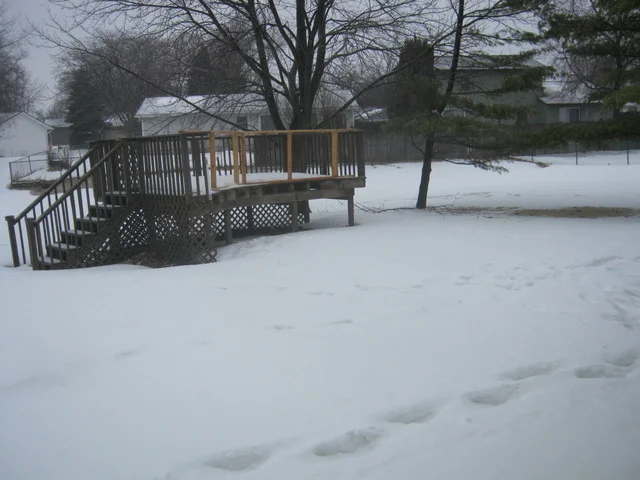Photo of 1485 Brook Lane
