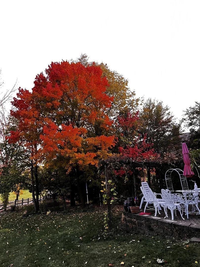 Photo of 1438 Della Drive