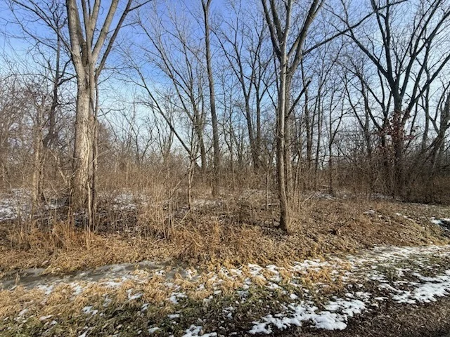 Photo of 4802 Brorson Lane