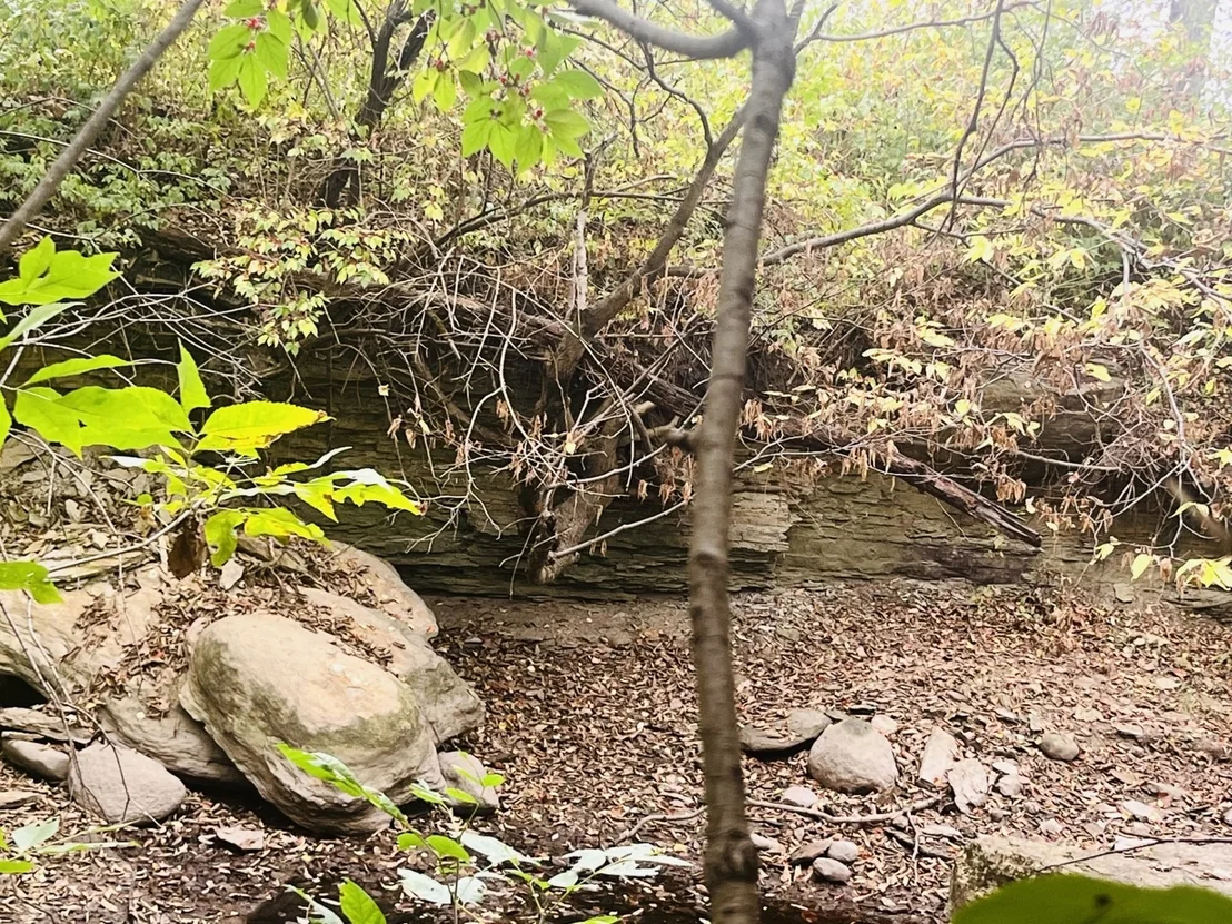 Photo of 1994 N 2753rd Road