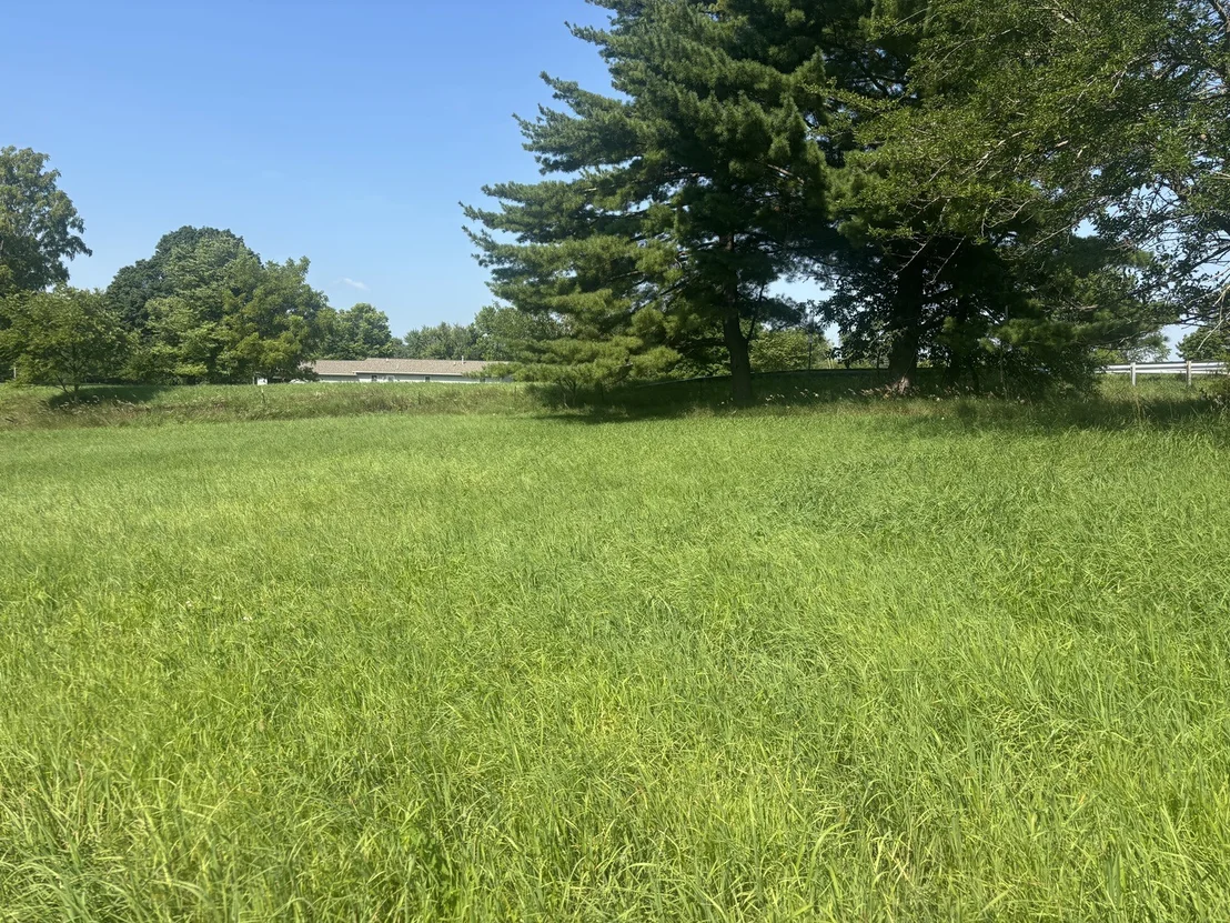 Photo of 1866 Tanglewood Drive