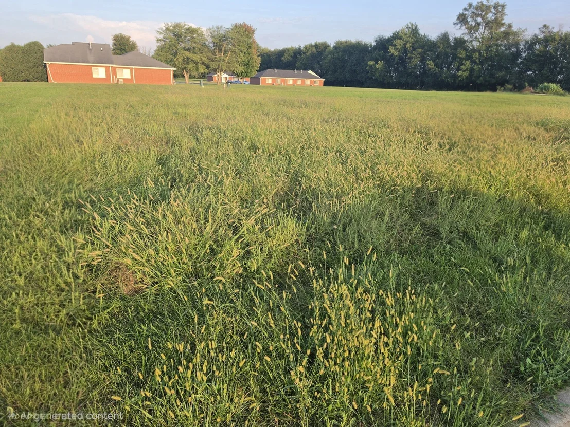 Photo of Lot 28 Memory Lane