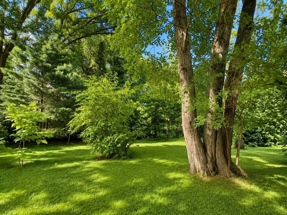 Photo of 2811 FOREST Lane