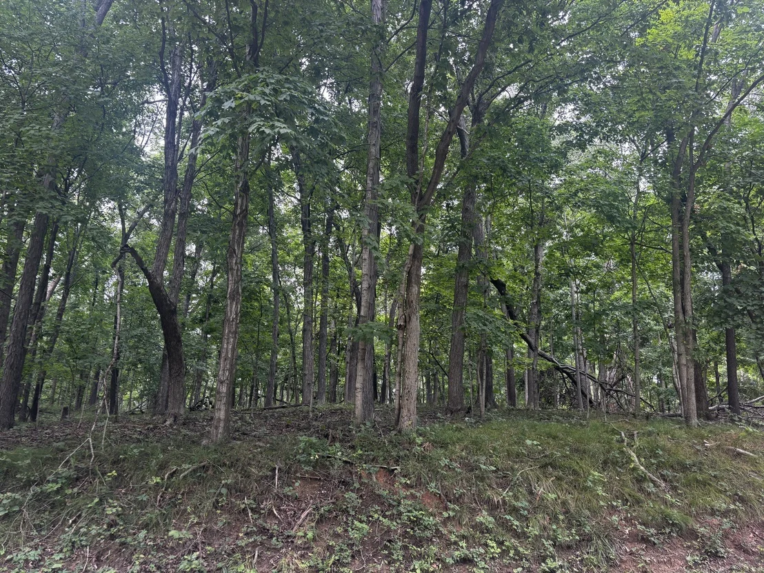 Photo of 1806 Tanglewood Drive