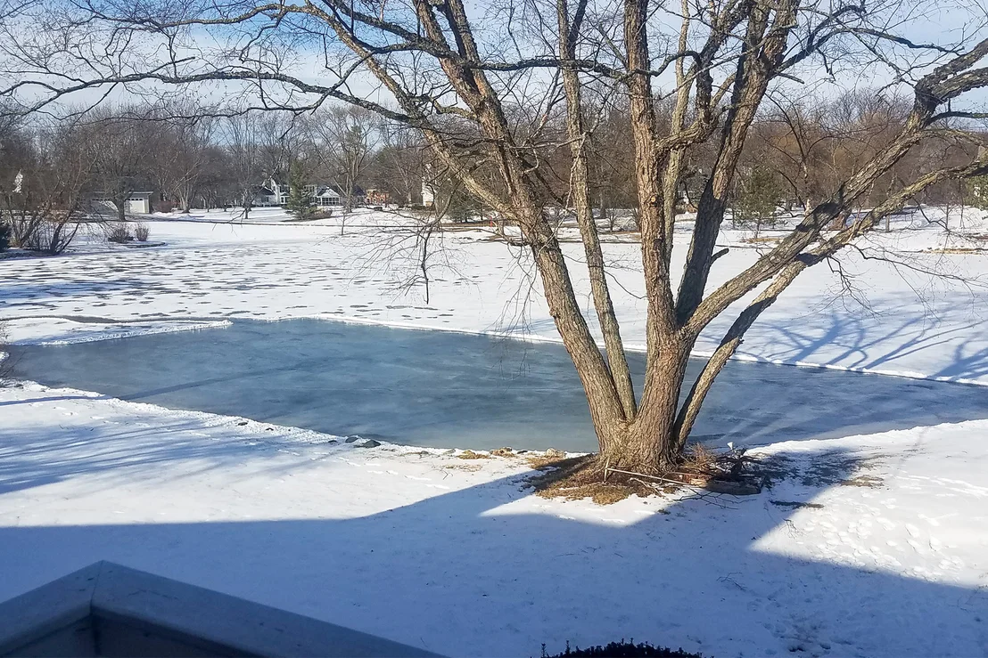 Photo of 1620 Pheasant Trail