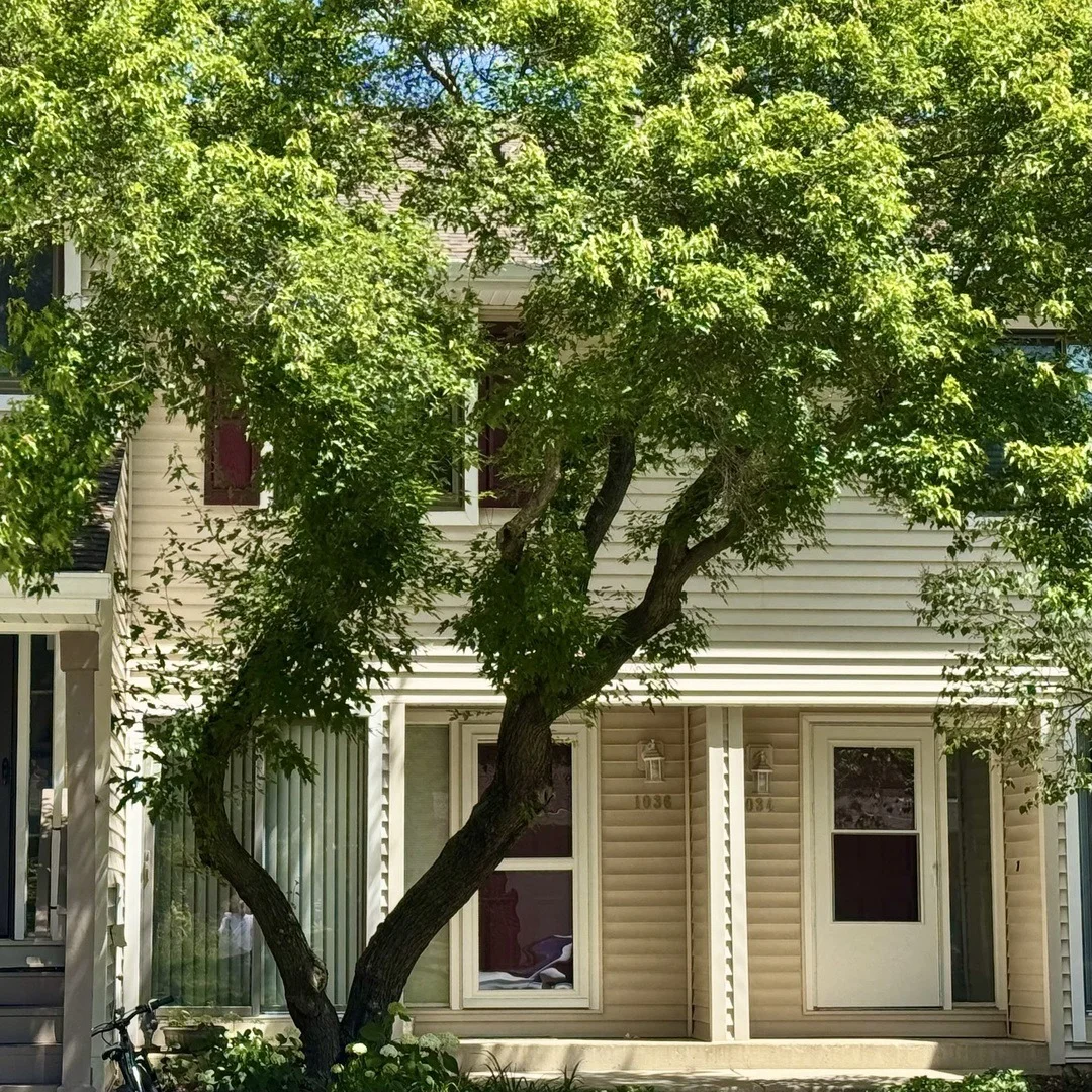 Photo of 1036 N Pine Tree Circle