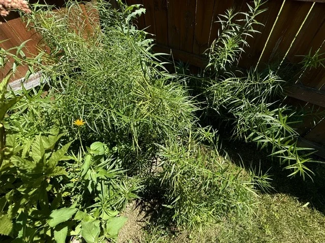 Photo of 2707 WORCESTER Drive