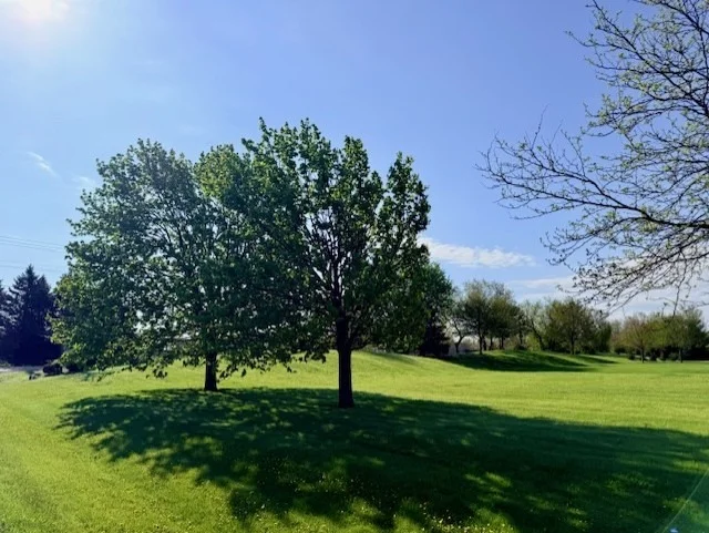 Photo of 4702 Patty Lane