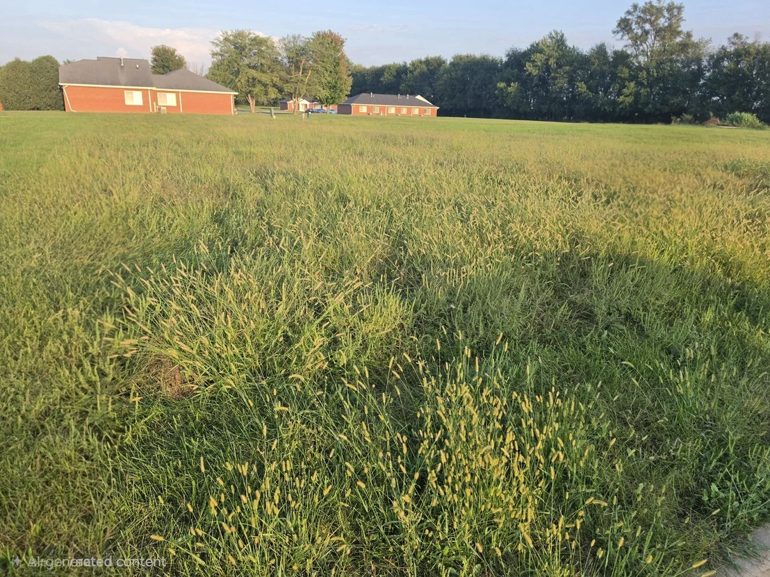 Photo of Lot 28 Memory Lane