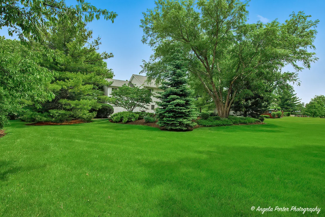 Photo of 803 Silver Glen Road
