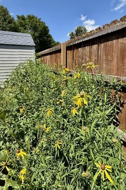 Photo of 2707 WORCESTER Drive