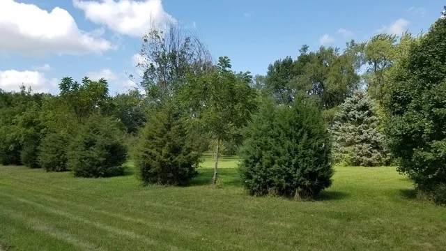 Photo of 5548 W Heatherbrook Trail