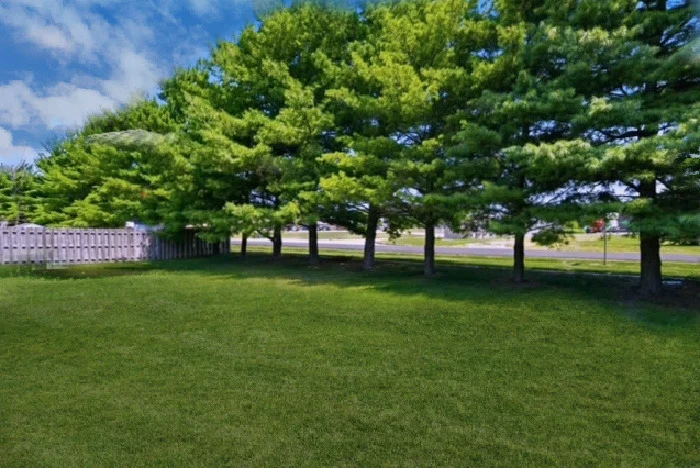 Photo of 1704 Nancy Beth Drive