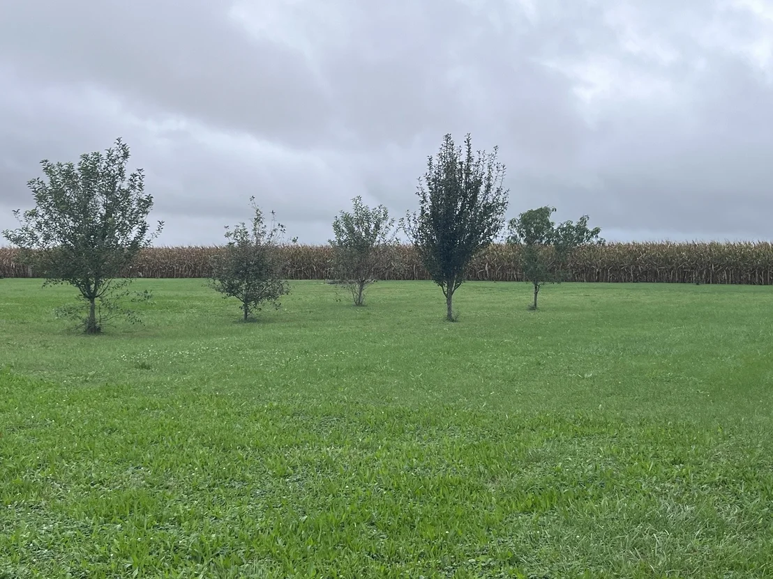 Photo of 573 County Road 2050E Road