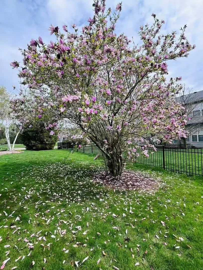 Photo of 1703 Deer Run Drive