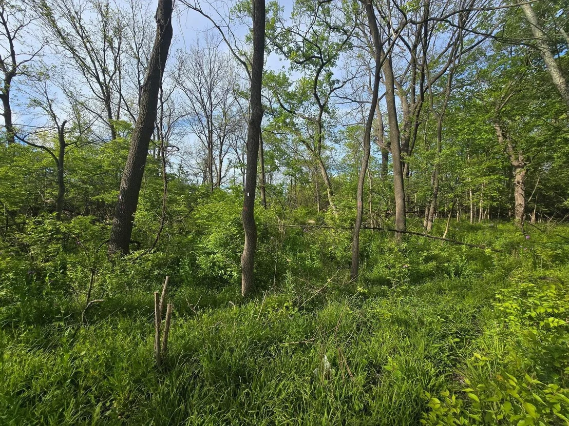 Photo of 108 Arrowhead Drive