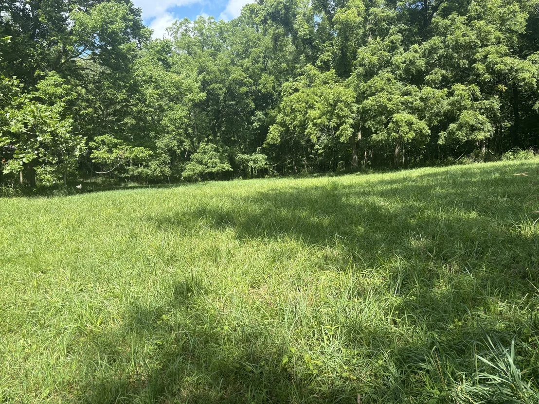Photo of 1720 Tanglewood Drive