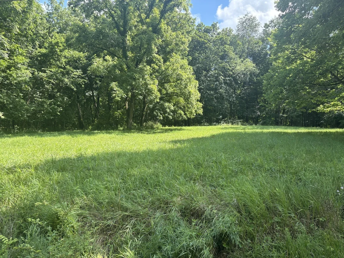 Photo of 1720 Tanglewood Drive
