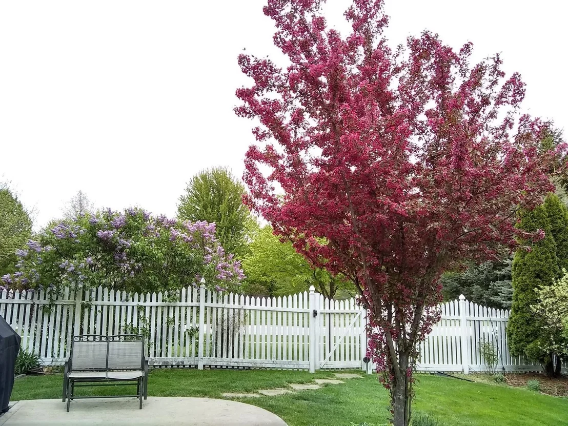 Photo of 12440 S Bobwhite Lane