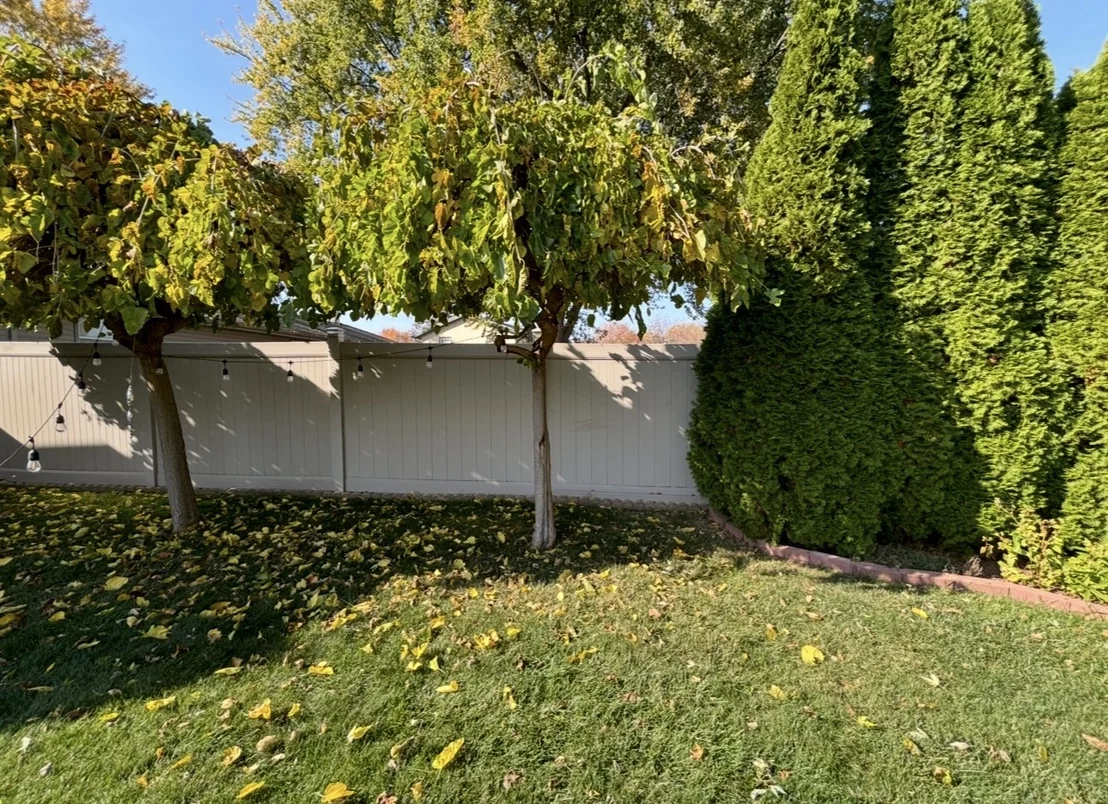 Photo of 856 Quail Drive
