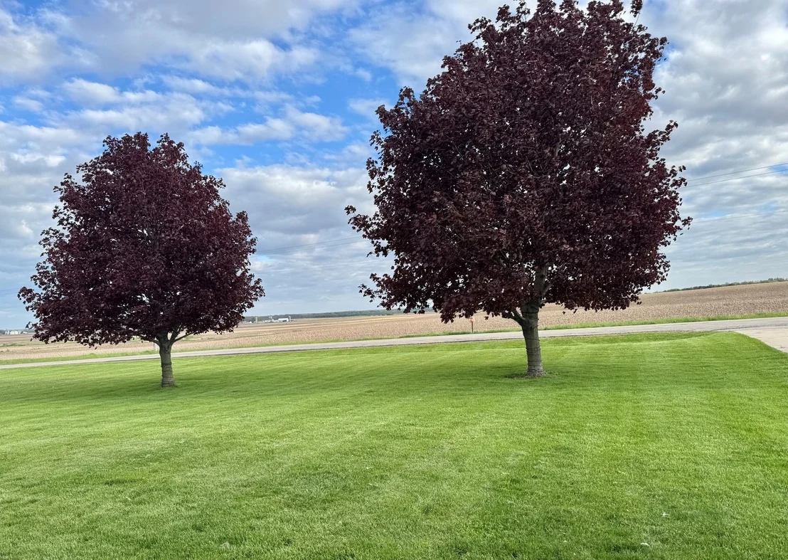 Photo of 13818 Thayer Road