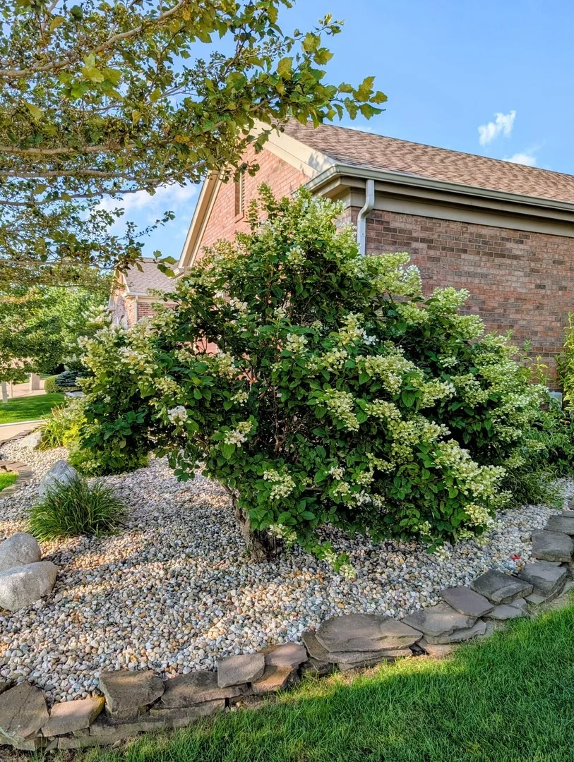 Photo of 2909 Greystone Place