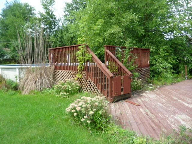 Photo of 0n026 Myrtle