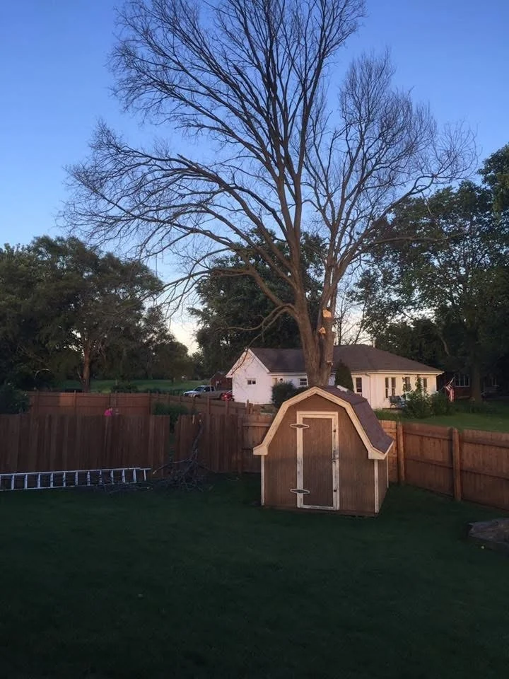 Photo of 801 Phyllis Drive