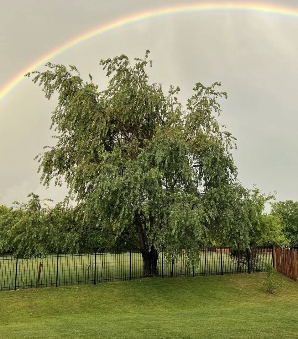 Photo of 2110 Silver Leaf Drive