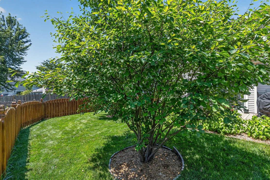 Photo of 21249 W Edison Lane