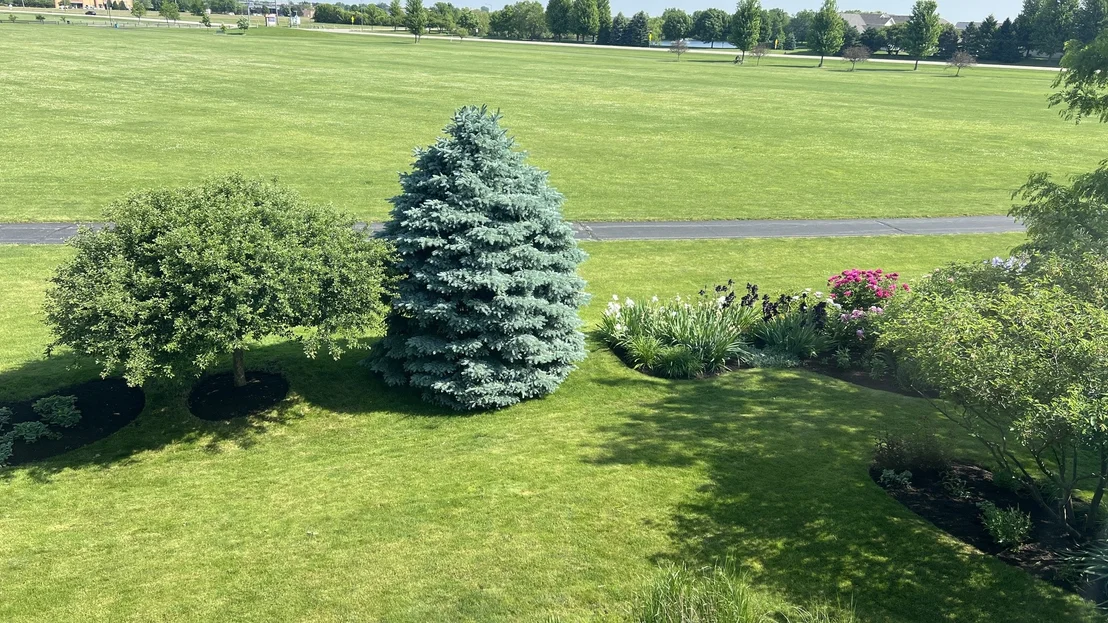 Photo of 223 Ashcroft Lane