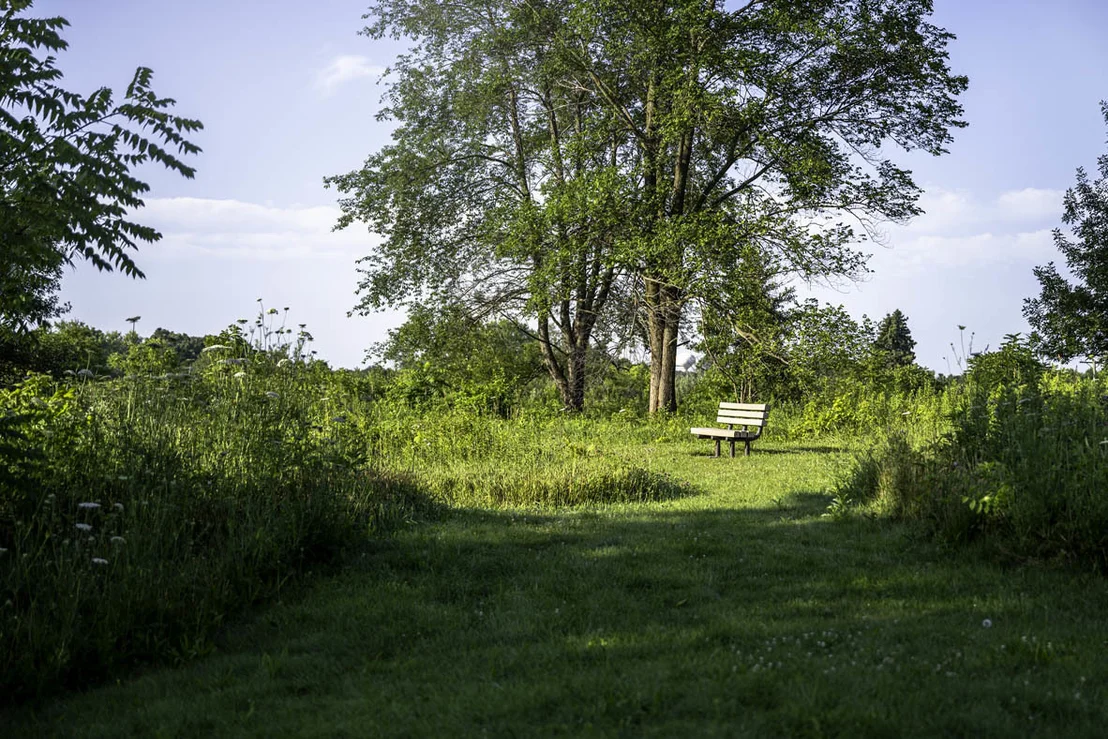 Photo of 787 Plateau Drive