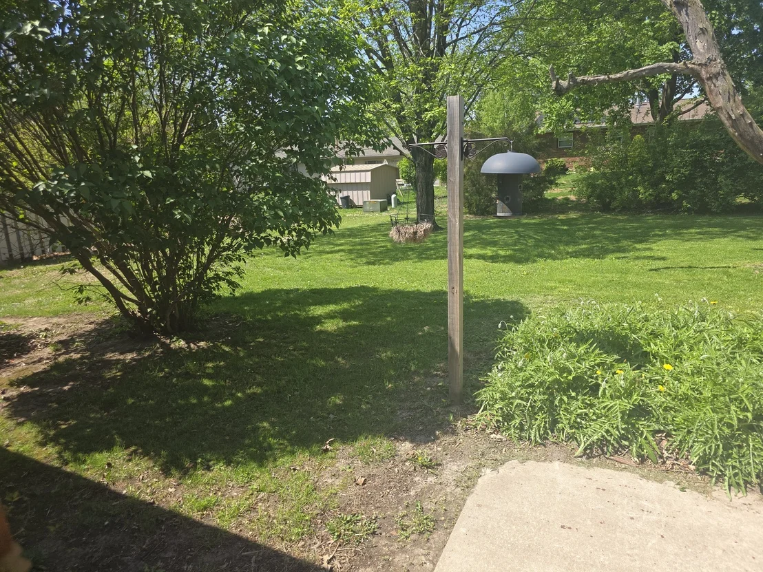 Photo of 217 Foster Drive