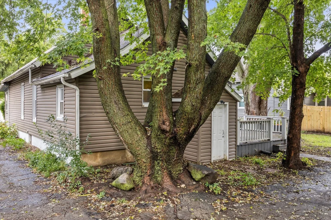 Photo of 311 Orange Street