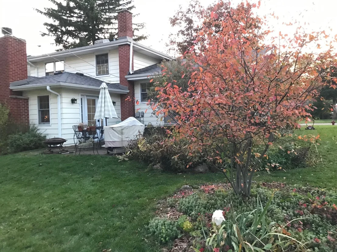 Photo of 447 Tennyson Road