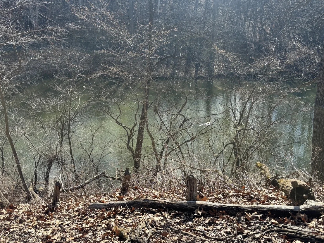 Photo of 1641 Tanglewood Drive