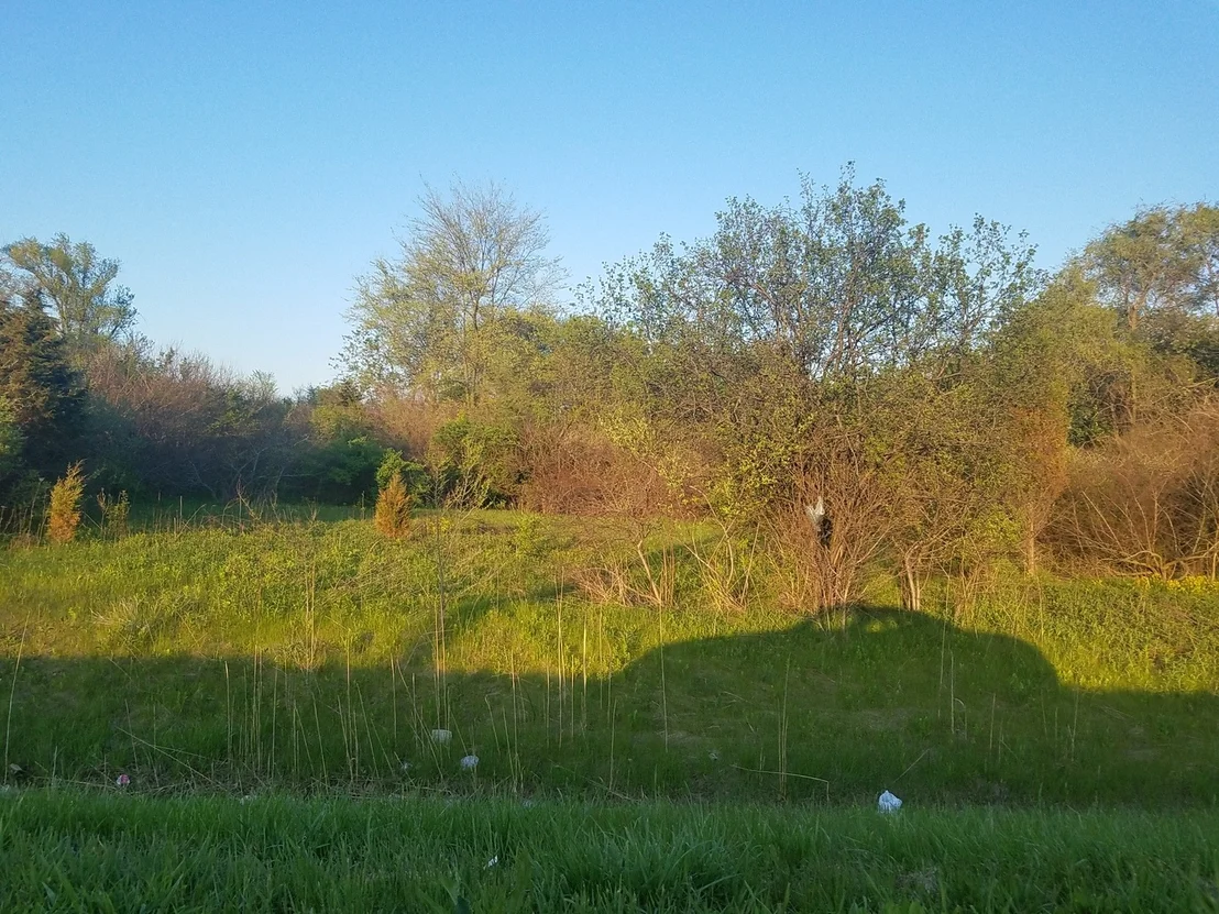 Photo of 1811 IL Rte 25 (Elgin) Road
