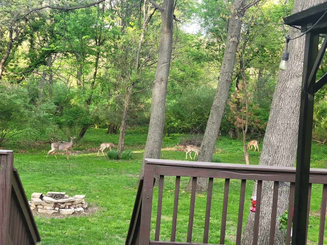 Photo of 13 Birch Drive