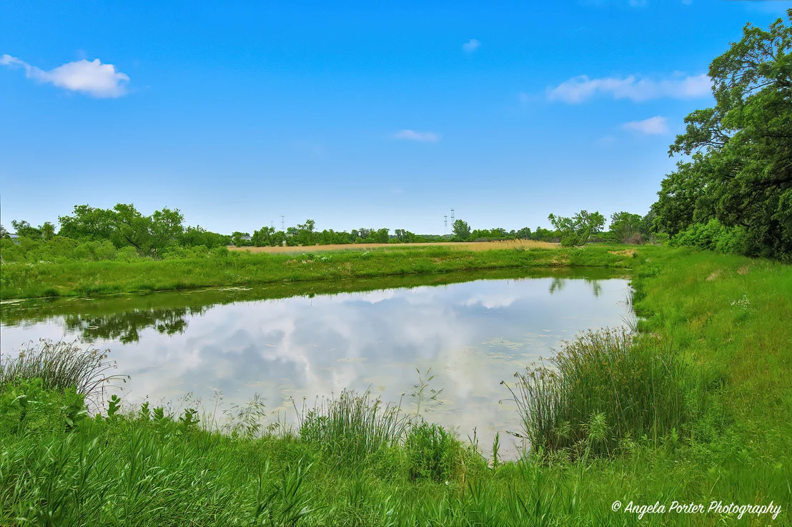 Photo of 1152 Piccolo Lane