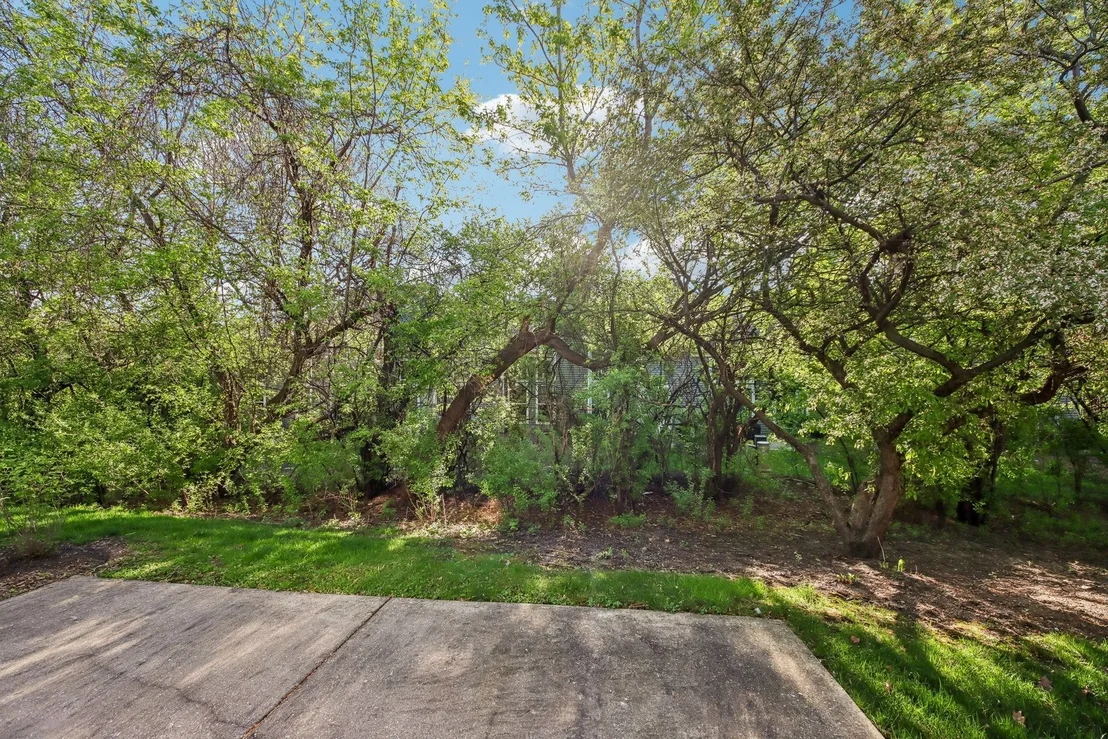 Photo of 993 Willow Street
