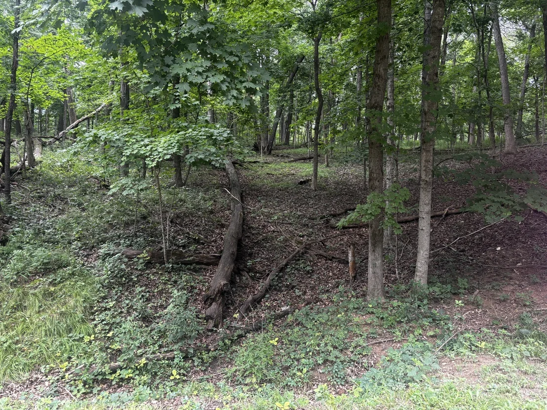 Photo of 1806 Tanglewood Drive