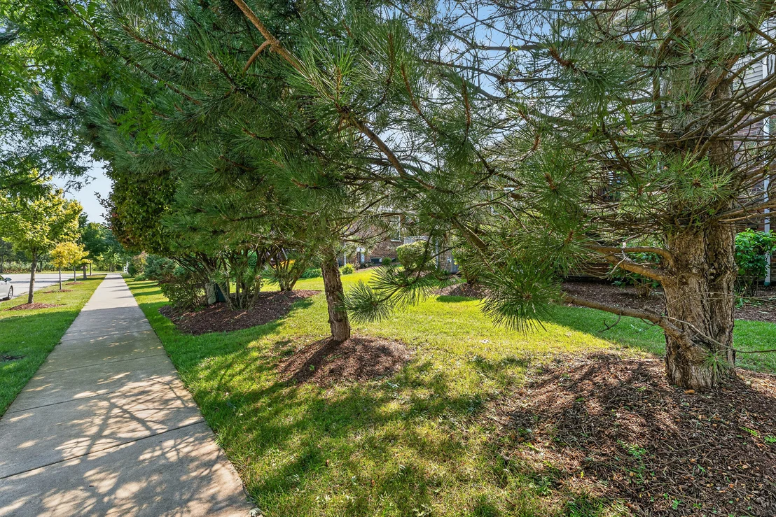 Photo of 16525 TIMBER Trail